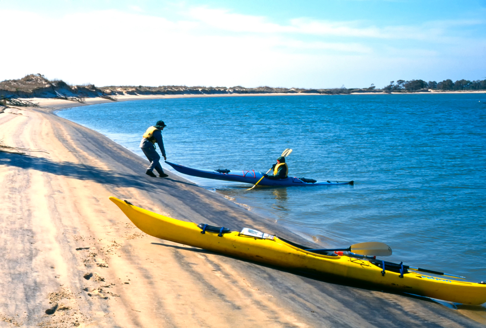 Best islands in Georiga Blackbeard Island National Wildlife Refuge