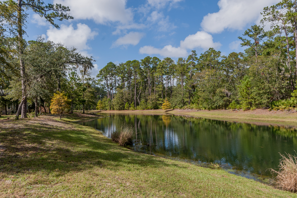 prettiest islands in georgia