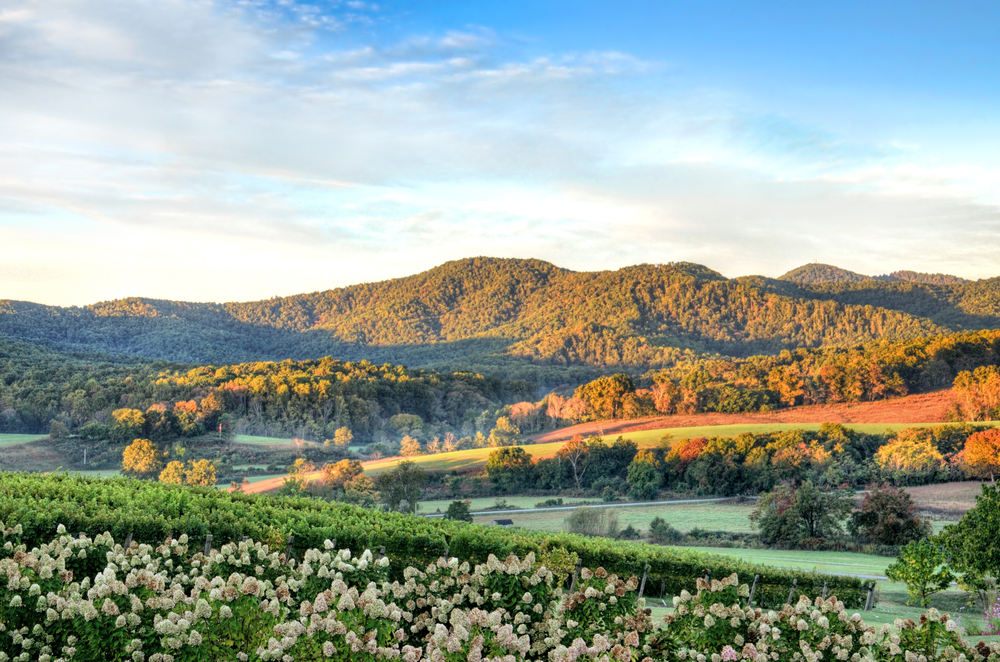 best winery tours in virginia