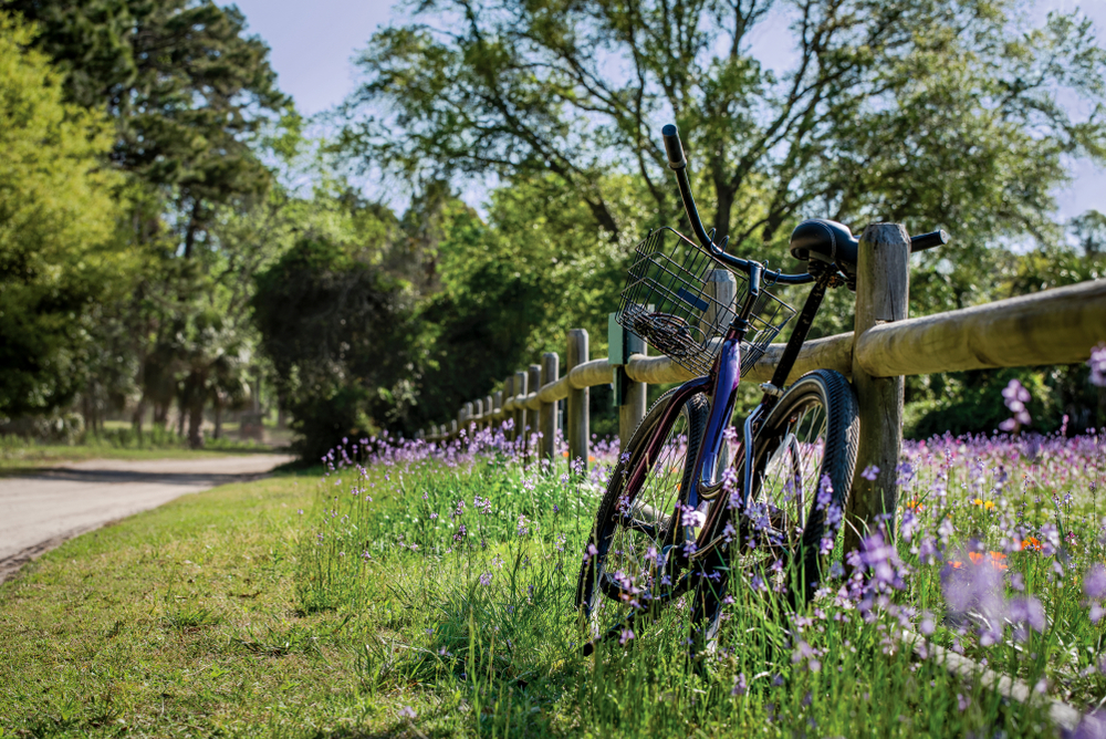 A bike leaned against a fence with purple flowers growing around it. It's on one of the many trails that are some of the best things to do in Hilton Head. 