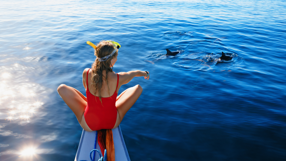 A woman in a red bathing suit sitting on the edge of a boat in the ocean. She is pointing to two dolphins you can see swimming right by the boat. 