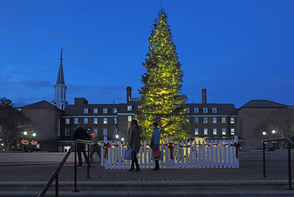 christmas tree in alexandria virginia at night