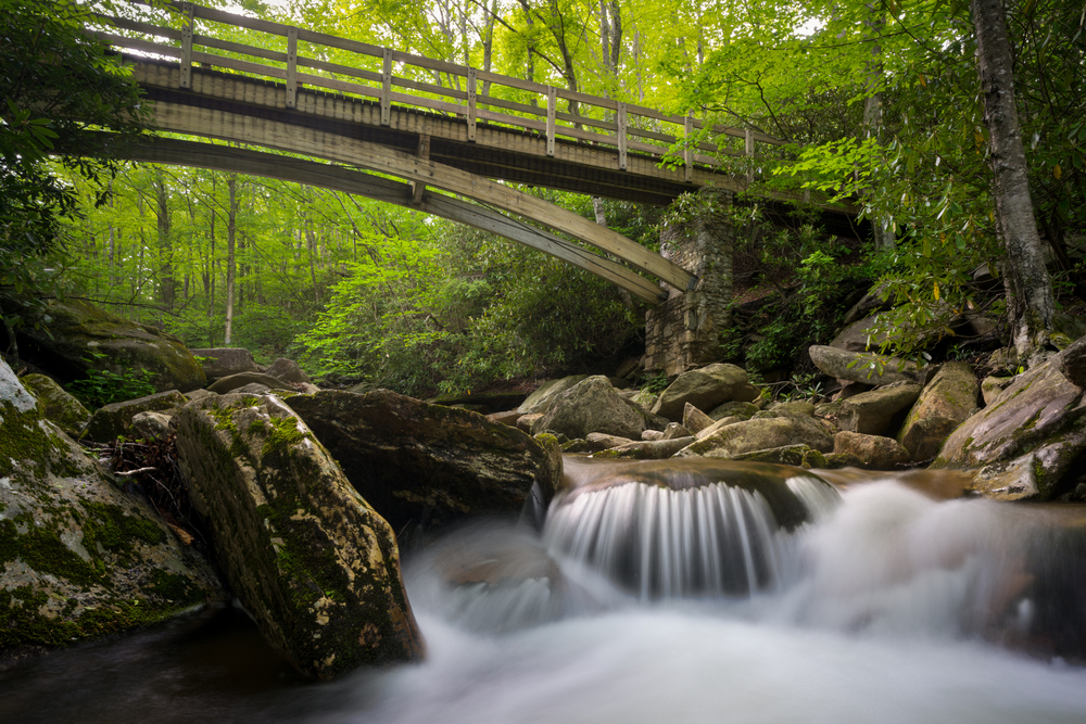 Water flowing over rocks under a wooden bridge in a green forest.