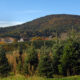 christmas tree farm in the virginia mountains with blue skies