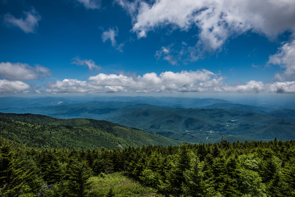 Wide aerial view of a green mountain forest.