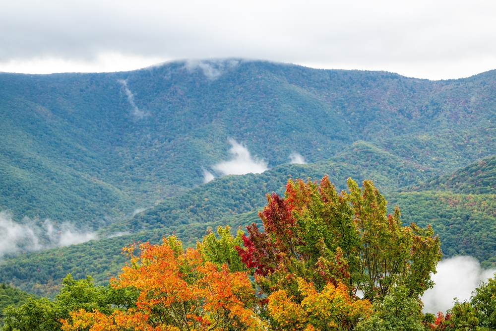 View from the Richland Balsam Overlook with fall foliage and mountains.