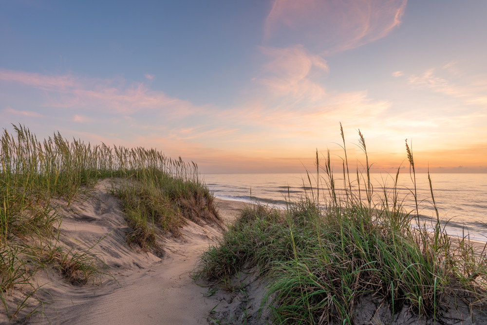 A sandy walkway lined with tall crass at sunset approaching the ocean.