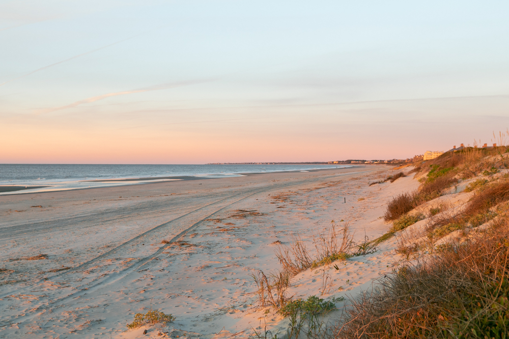 The sand dunes at one of the beach towns in South Carolina slope downward in the pink light of a sunrise. 