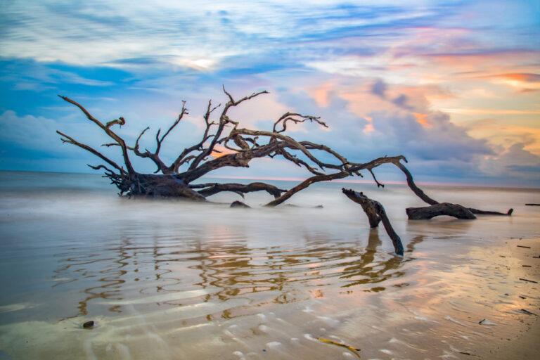 15 Best Things To Do On Jekyll Island GA You Shouldn't Miss - Southern ...