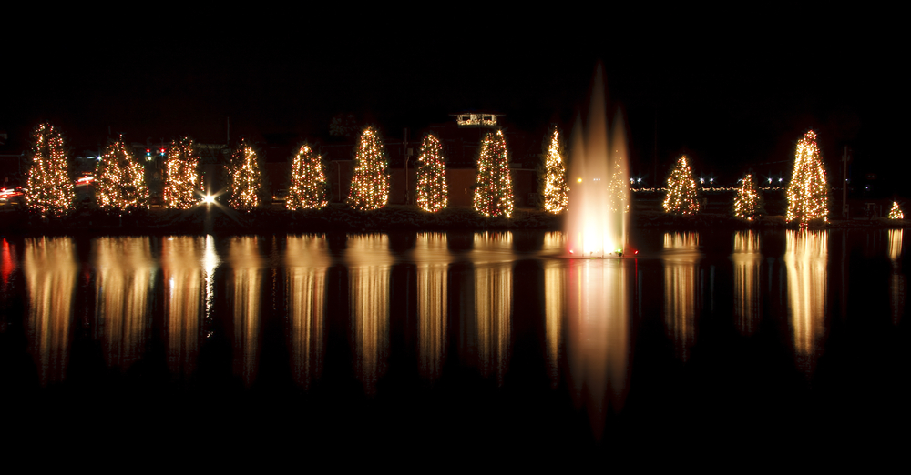 christmas lights on trees around a lake, christmas in north carolina 