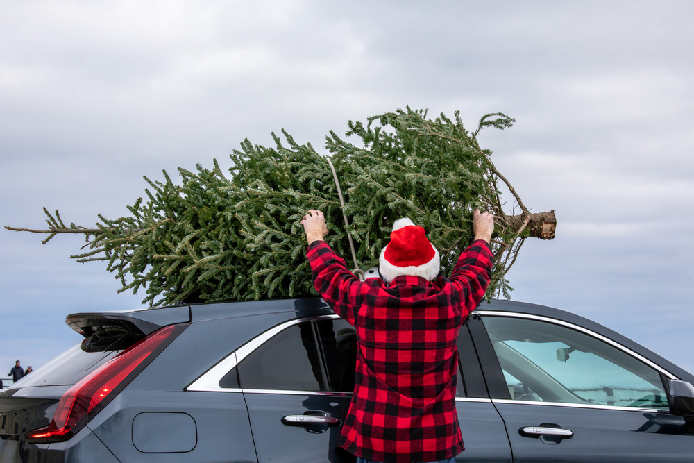 A man hoists his choose and cut tree  on top of his black SUV. He is wearing a Santa hat.