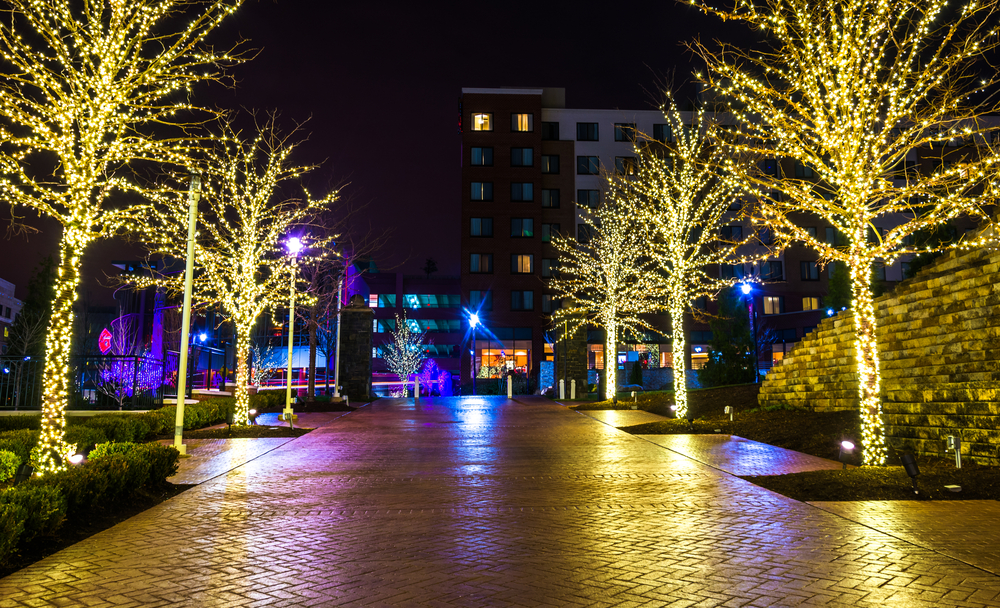 A paved sidewalk in Washington DC with a row of lit up trees on either side. 