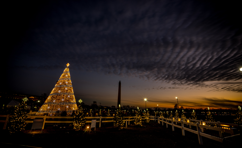 The National Christmas Tree lit up at night during Christmas in Washington DC
