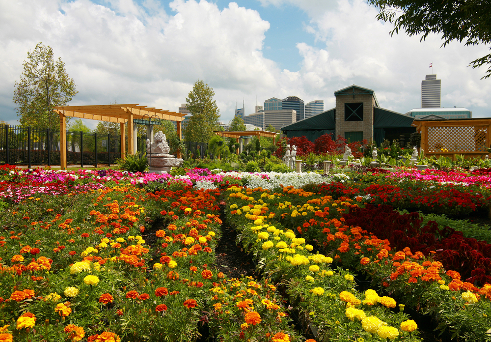 Brightly coloured flowers in front of the Nashville Farmer's Market, a must see destination for romantic getaways in Tennessee