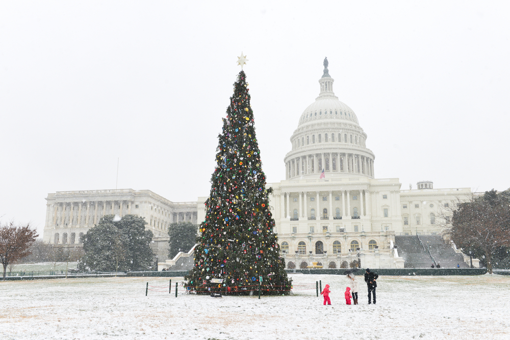 The Capitol Building with a big Christmas tree in front of it after a snow storm. 