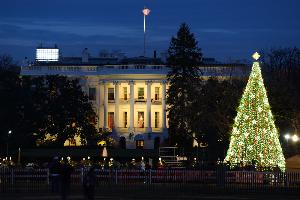 The White House at night with a large Christmas tree out front. It's one of the best things to see during Christmas in Washington DC