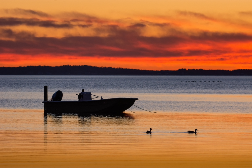 Boat moored in the water with snset in the abckground and two ducks on the water. 