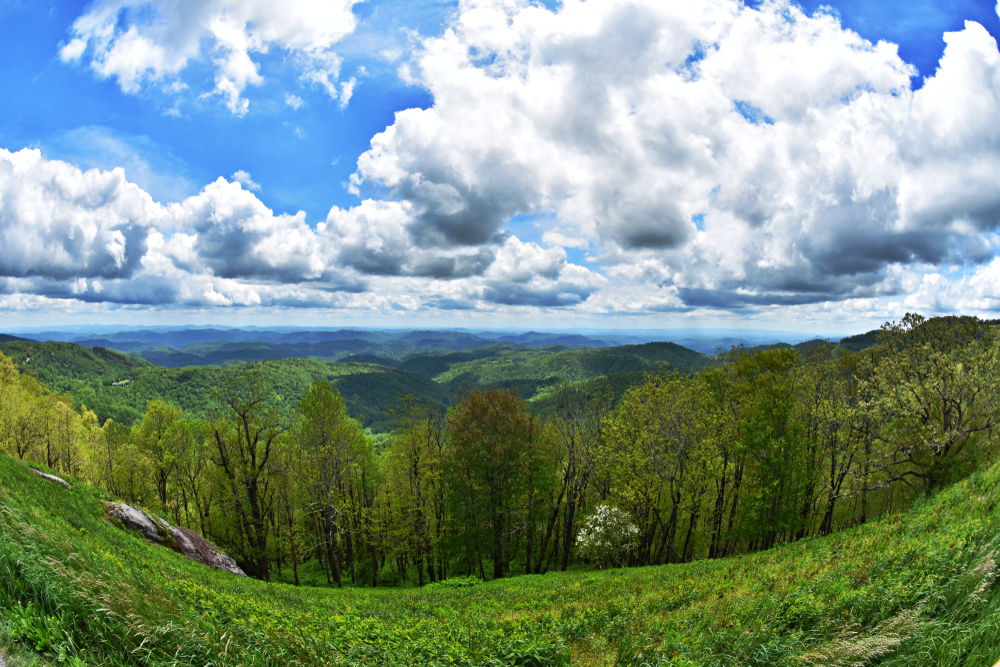 Line of green trees with the Blue Ridge Mountains down below under a cloudy sky.