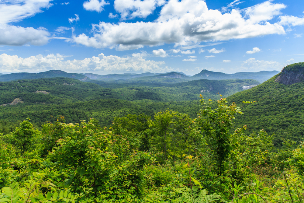The green rolling mountains of the Blue Ridge Mountains.