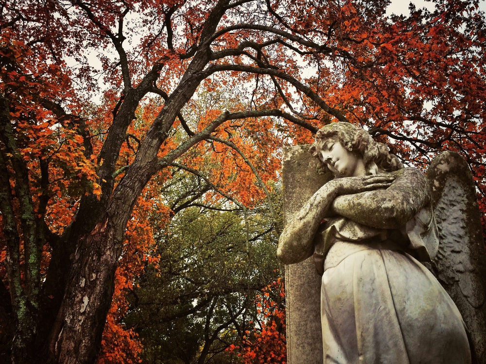 An angel statue in a cemetery surrounded by trees with fall foliage on them. 