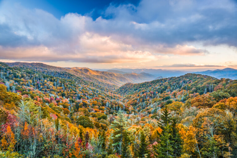 15 Best Cabins in the Smoky Mountains You Must Visit! - Southern Trippers