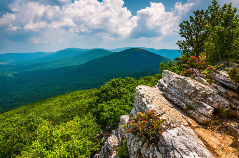 12 Best Trails For Hiking in Virginia - Southern Trippers