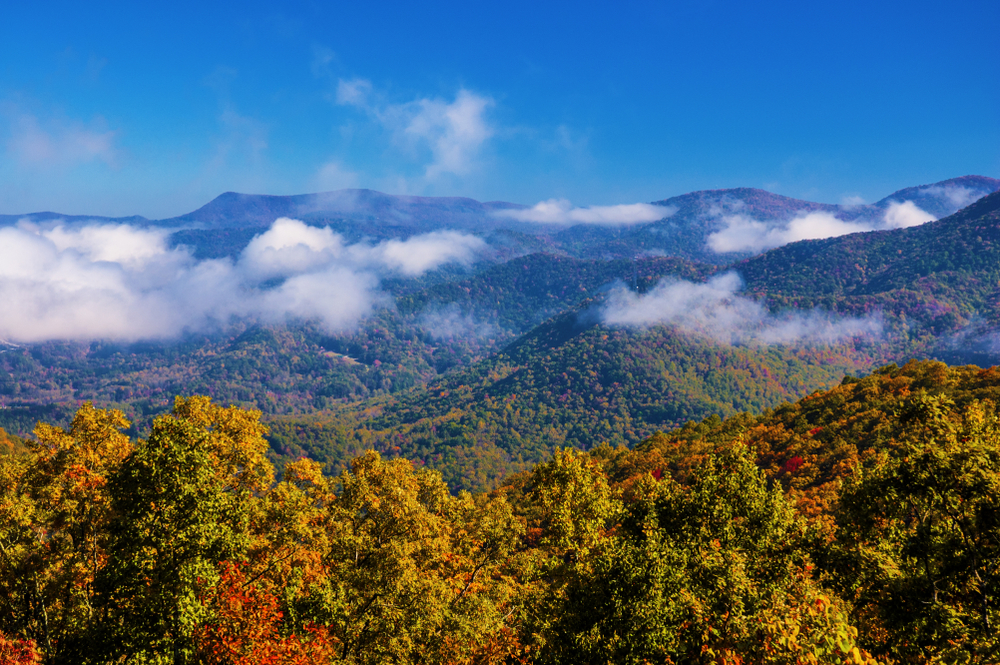 forested mountains with clouds on top