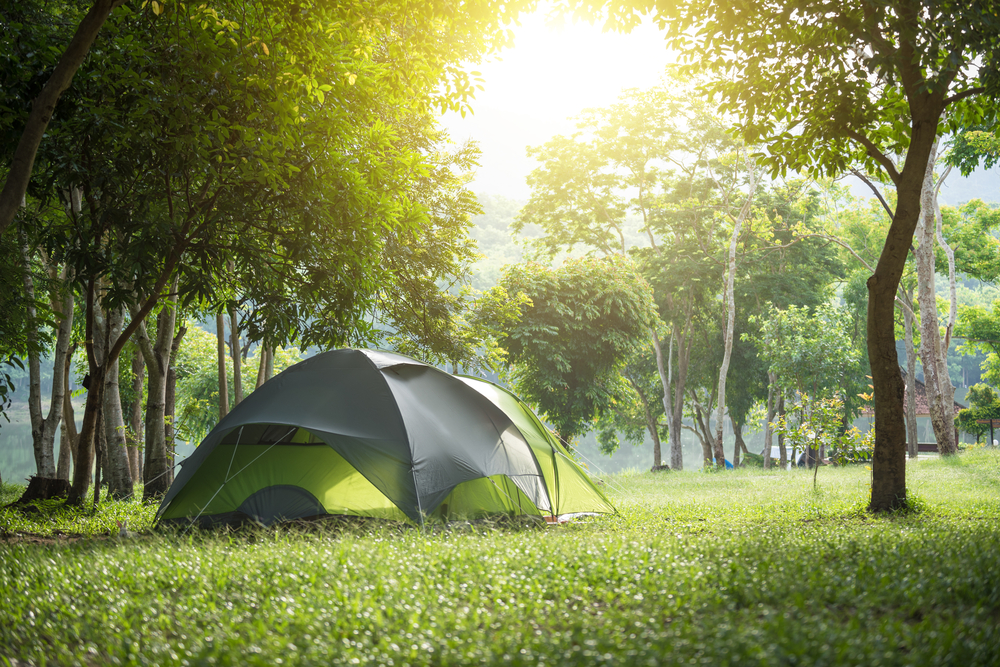 tent camping in the woods