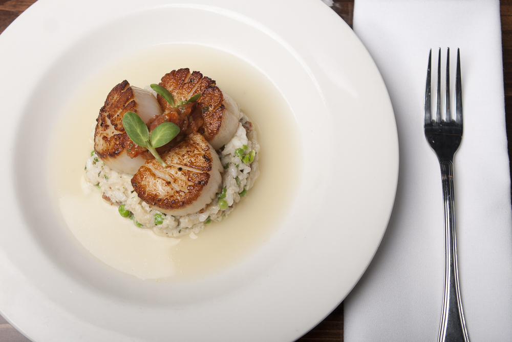 Scallops served over a pea risotto topped with micro greens at one the seafood restaurants in Charlotte