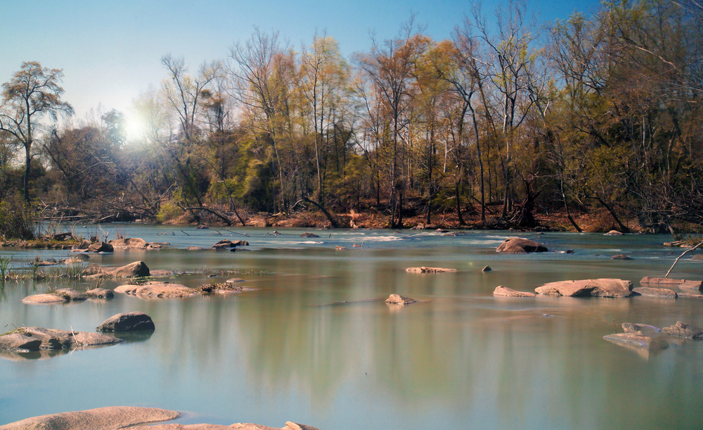 river with trees on both sides that you can go river tubing on, one of the best things to do in columbia south caroilna