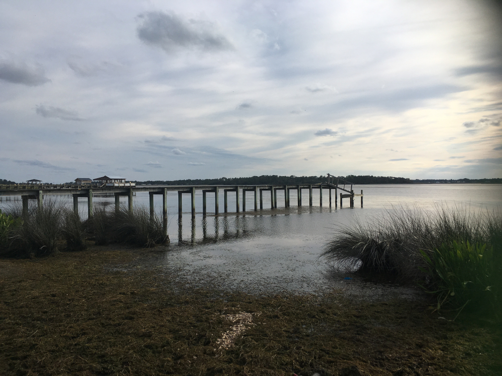water with an old pier and coastal marshland