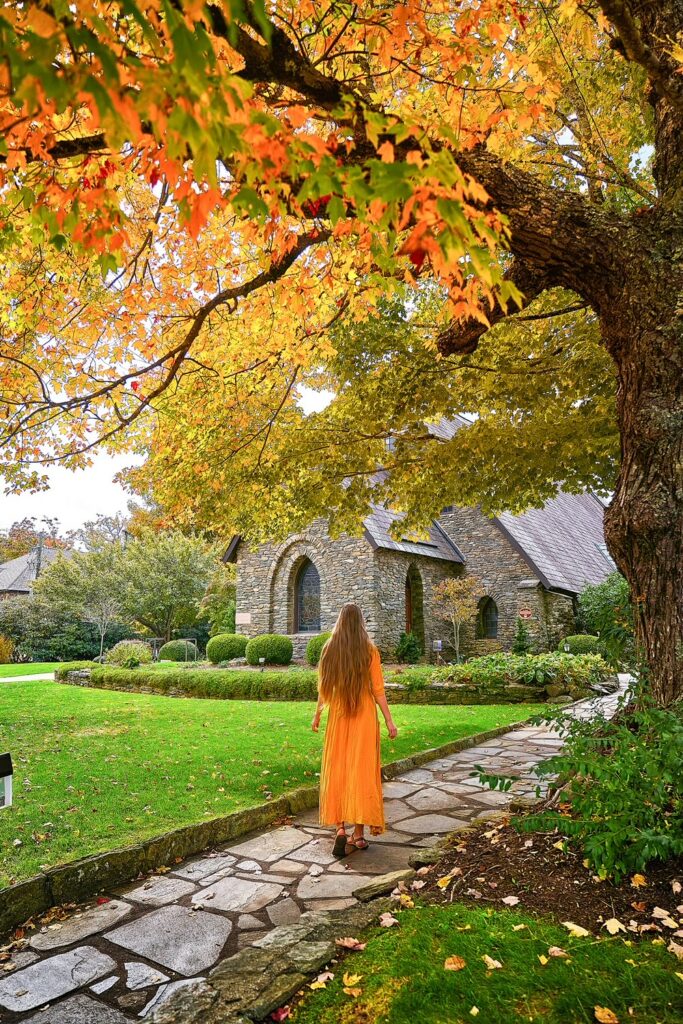 Woman in a yellow dress under a yellow tree on a stone walking path near a historic building.