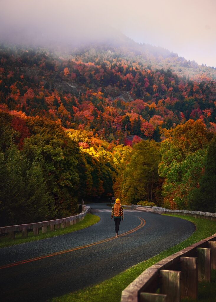 Woman walking on a winding road with a misty, fall colored mountain in front.