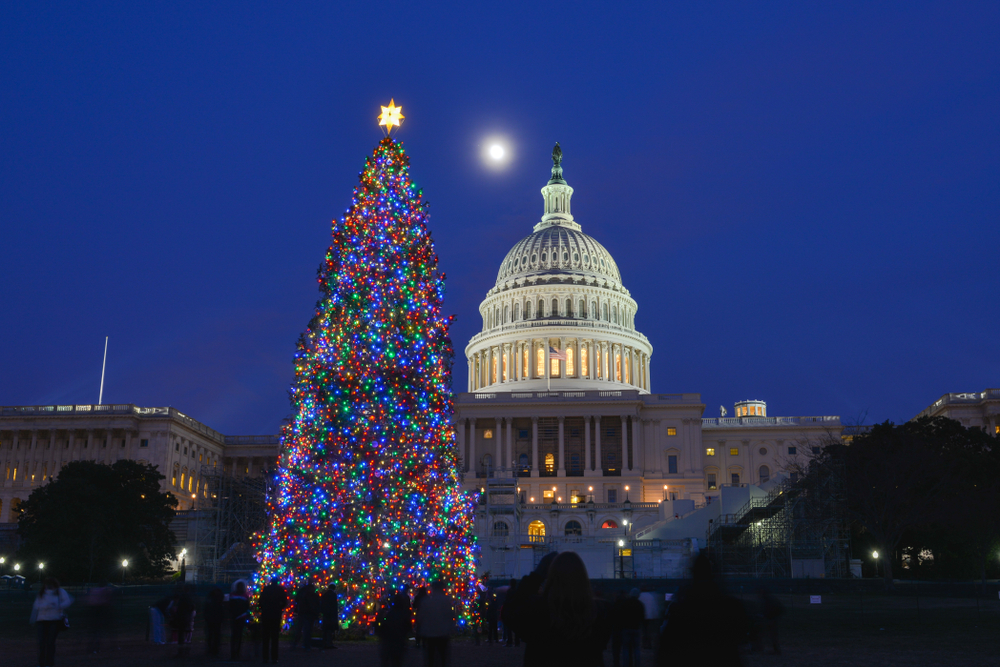 The big national Christmas tree in Washington DC 