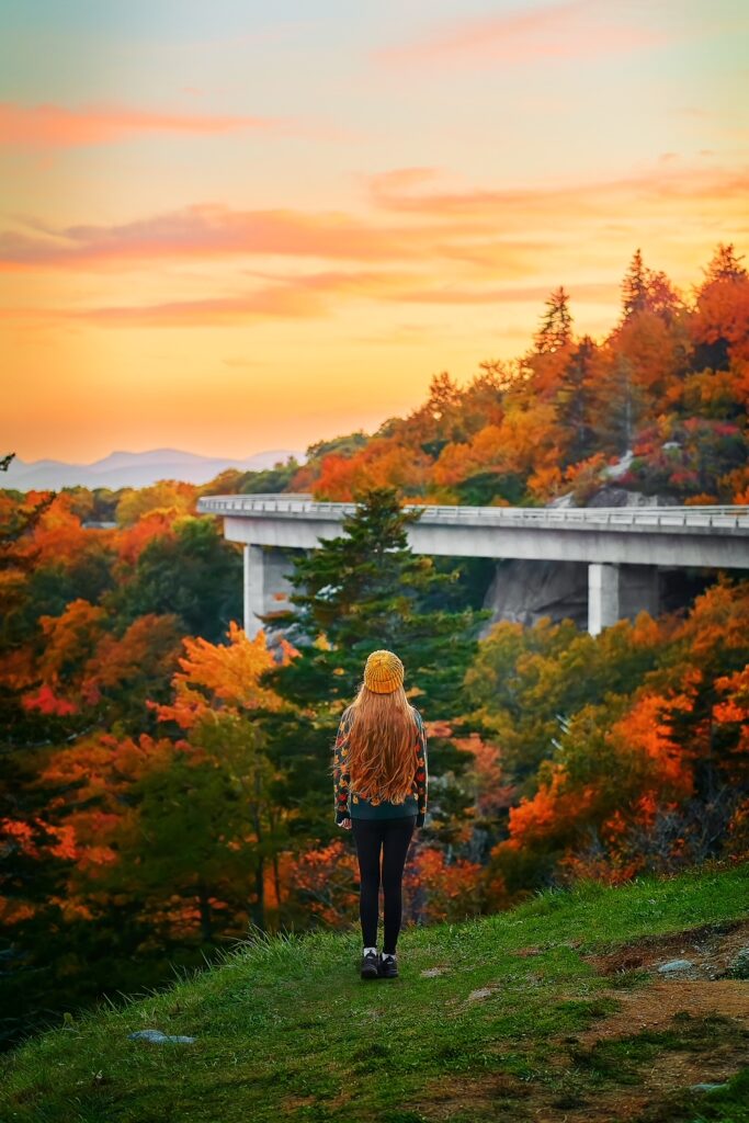 Woman in fall sweater stands looking out at the Linn Cove Viaduct surrounded by fall trees.