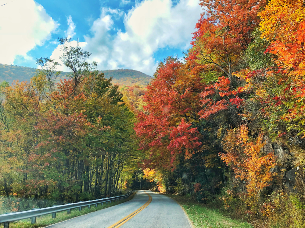 Road through the Chattahoochee National Forest in the fall with mountinas in teh background. Driving this road is one of the best things to do in Dahlonega. 