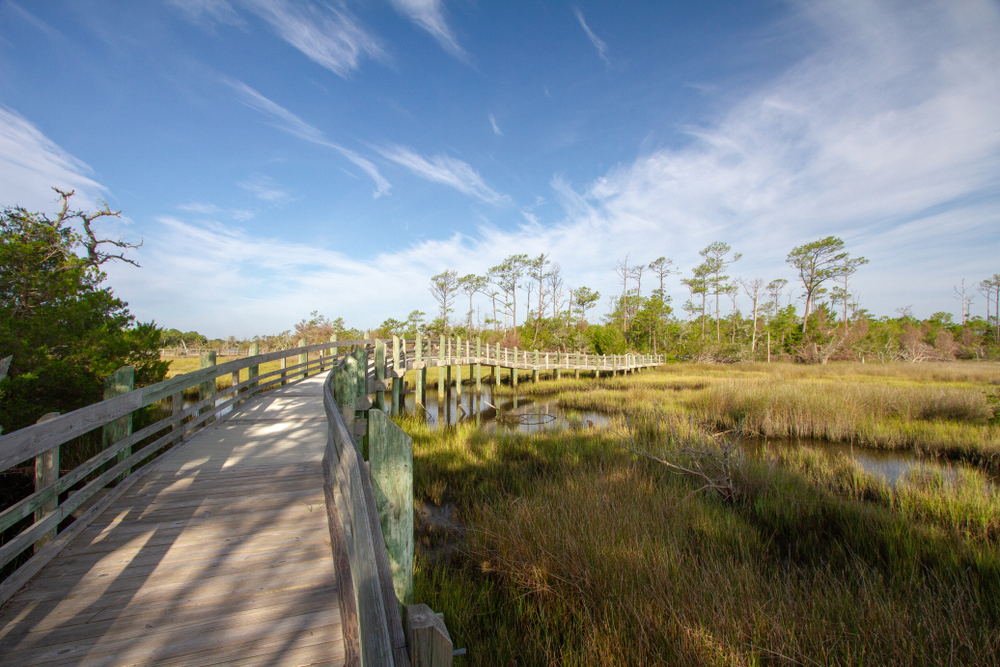 wooden boardwalk over salt water marshes in croatan national forest, one of the best things to do in emerald isle nc