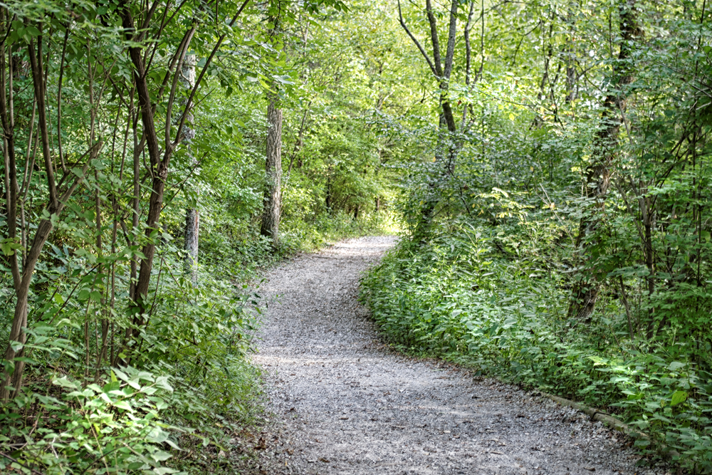 path through the wood. greenway trail in paducah, one of the best things to do in paducah kentucky outdoors