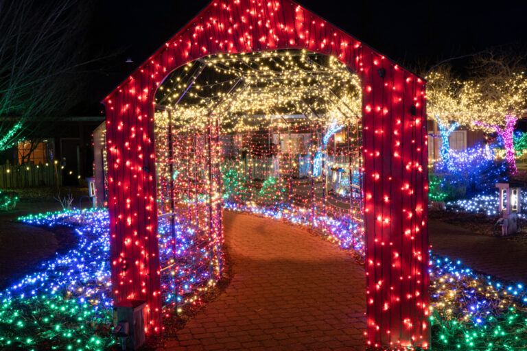 15 Best Places To See Christmas Lights in North Carolina Southern