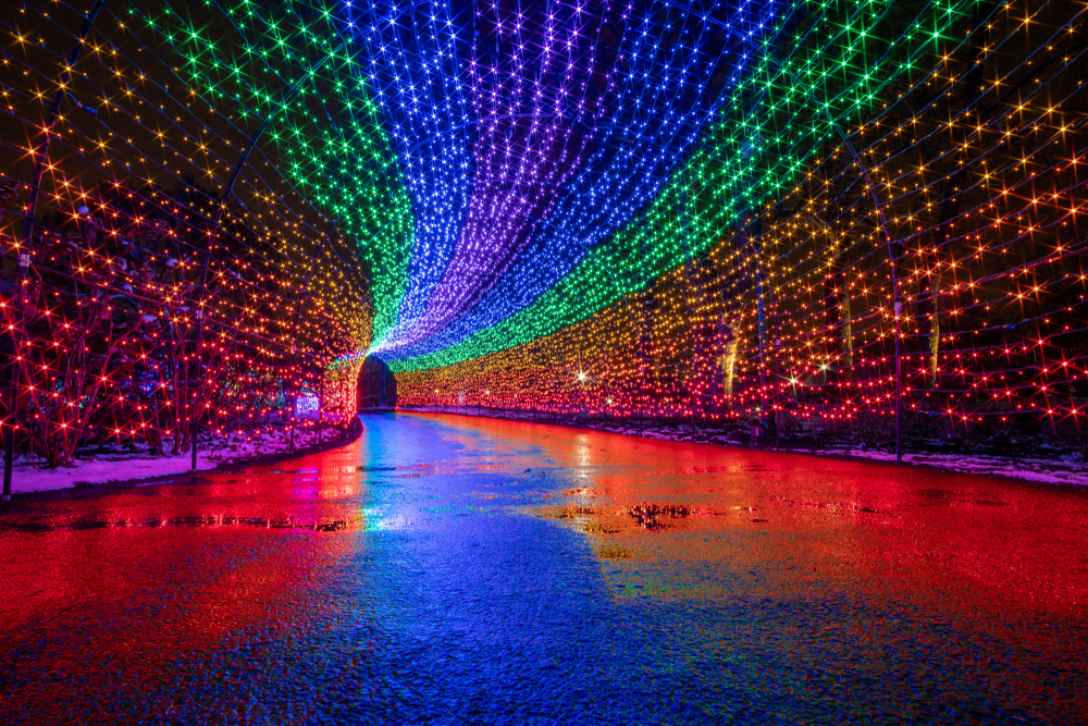 15 Best Places To See Christmas Lights in North Carolina Southern