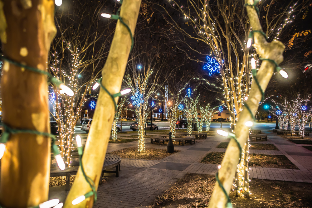 rows of trees with benches around them, christmas lights around the trees