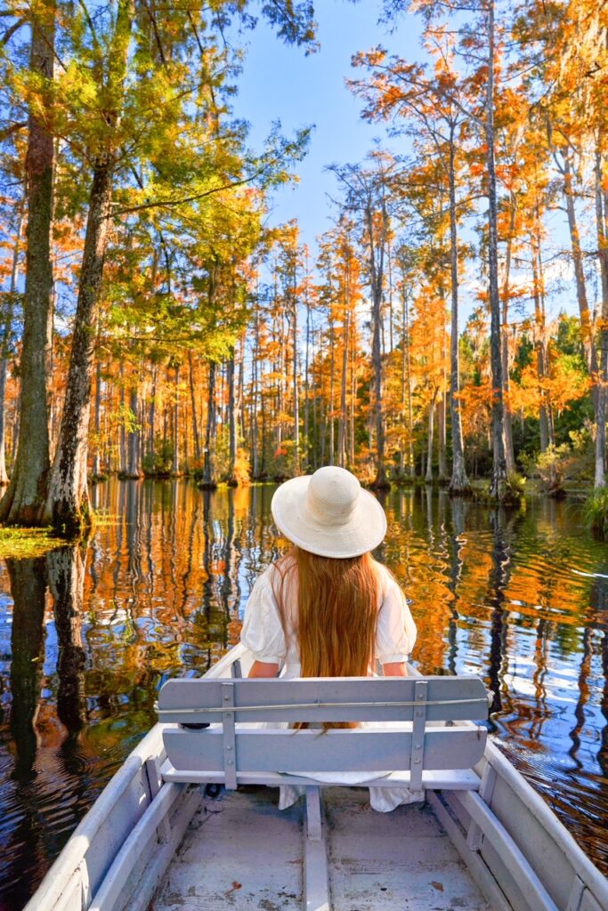 Woman wearing a hat sits in a canoe looking out at the fall trees of Cypress Gardens.