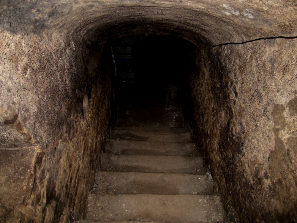 A dark tunnel with stairs leading down into a dark basement. 