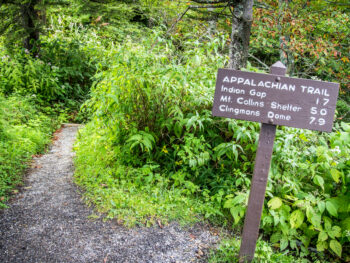 sign for hiking the Appalachian trail in brown wood