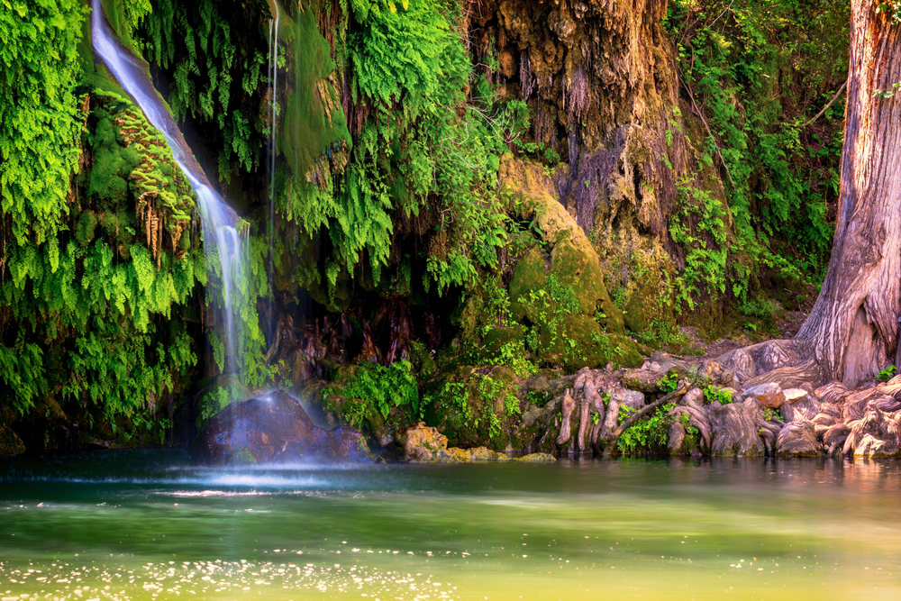 The view of a small waterfall falling into a natural spring surrounded by cypress trees and other greenery