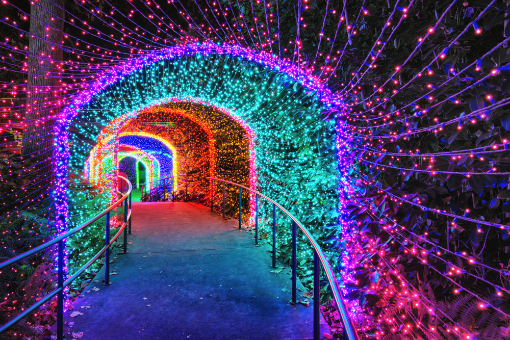photo of a decorated pathway of multicolored lights at the Atlanta botanical gardens during the holidays