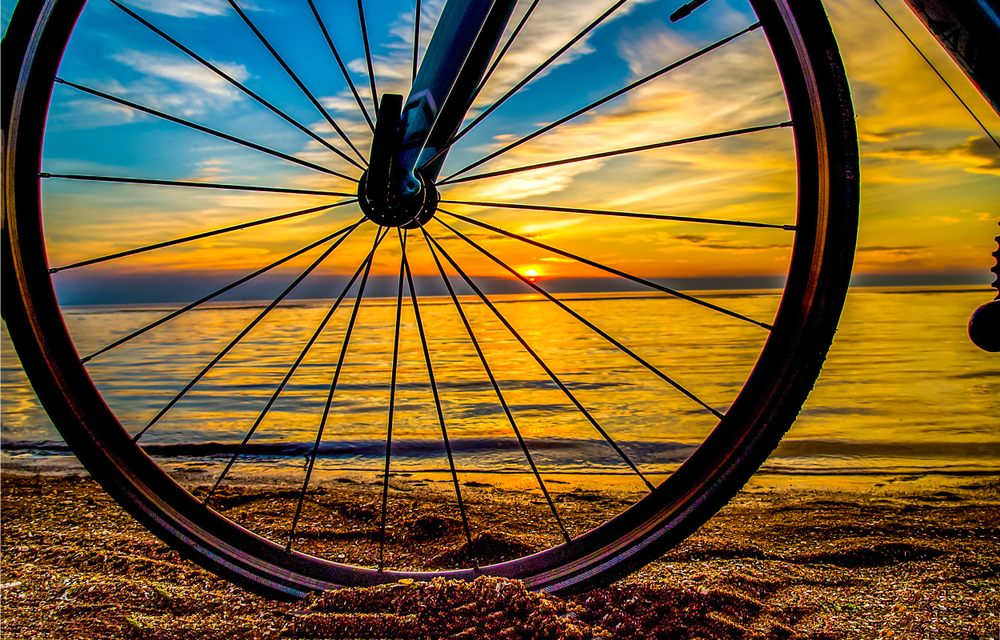 sun and water view throw the spokes of a bike wheel 