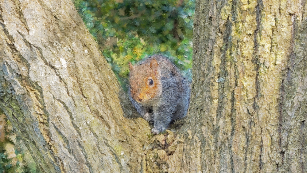 squirrel in tree painting 