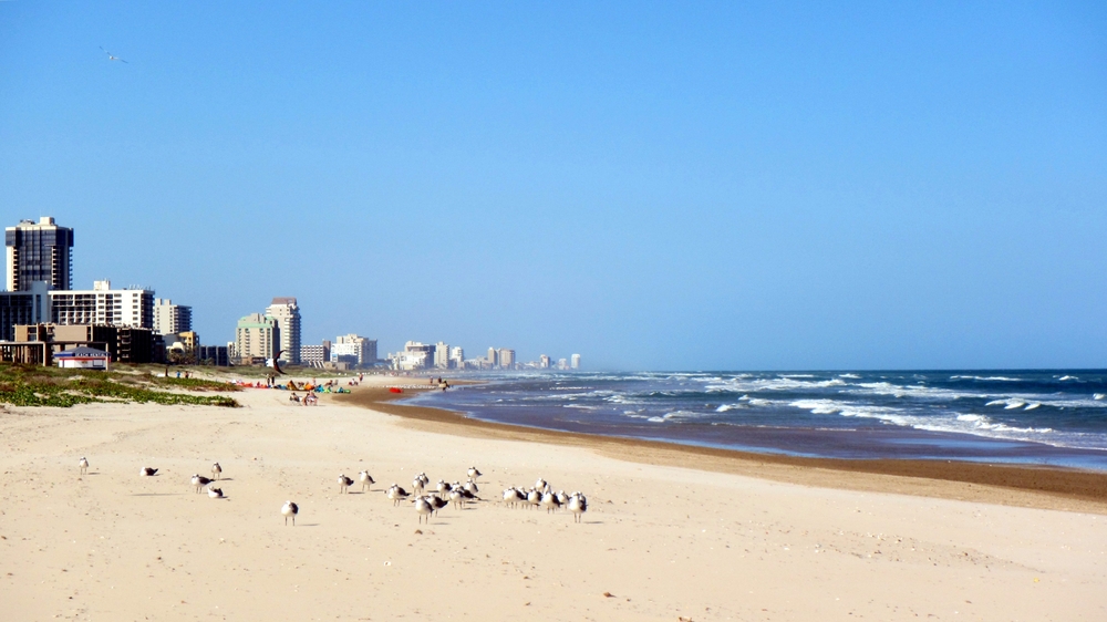 Beach and City of South Padre Island showing the beach and buildings along the beach.  