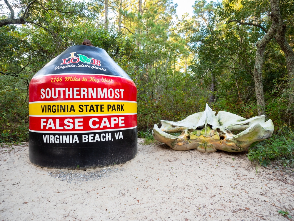 False cape is one of the best beaches in Virginia Beach 